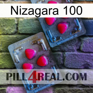Nizagara 100 14